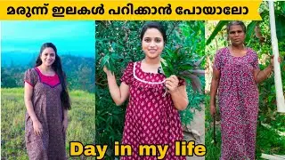 വേത് വെള്ളം ഉണ്ടാക്കാൻ ഇലകൾ പറിക്കാൻ പോയാലോ ...Day in my life