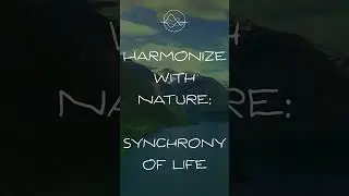Harmonize with Nature | Sea of Peace - Meditation Shorts