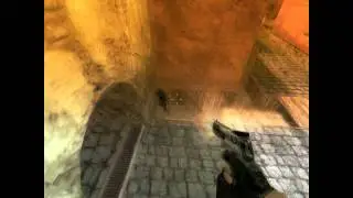 Dingo dgl