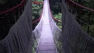 Vancouver Tourist Attractions | The Most Beautiful Places to Visit in Vancouver 2024