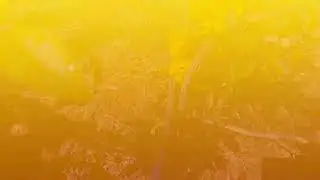 My solar punk farm project 27 - draining paddy fields, my irrigation system development