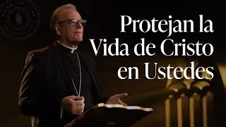 Protejan la Vida de Cristo en Ustedes — Sermón del Domingo del obispo Robert Barron