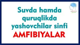 Suvda hamda quruqlikda yashovchilar sinfi-Amfibiyalar || -Амфибиялар