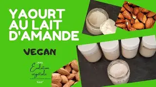 Yaourt au lait d'amande (RECETTE VEGAN)