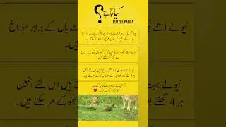 Wonders Small but Mighty Animal Facts | #facts #education #animals #shorts #urdu #pakistan