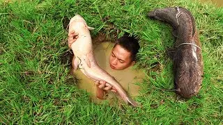 Build Fish Trap And Catch Catfish In Secret Hole By Smart Boy - Boy Catching Giant Big Fish In Hole