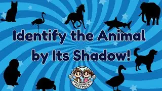 Identify the Animal by Its Shadow 🐾 | Easy, Medium & Hard Quiz | SachuNichuFactpills