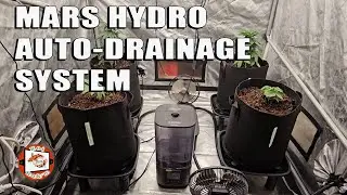 Plants are Looking Dynamite | Mars Hydro Auto Drainage + Drip Irrigation System