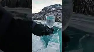 Epic Nature Captures on Camera #youtubeshorts #youtube #ytshorts #shortsvideo #trending #viral