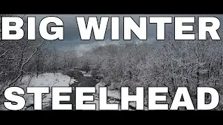 Fly Fishing For MASSIVE Winter Steelhead | Pursuit Within Reach Film