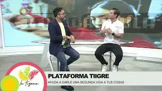 La Tizana | Tecno C&aacute;psulas | Juan Pedro Silva: CEO TIIGRE, Detalles de la plataforma