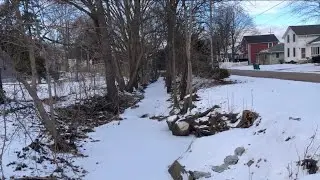 Walking footage (1) 