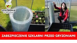 Zabezpieczenie szklarni przed gryzoniami, jak się pozbyć nornic i karczownik&oacute;w ze szklarni.