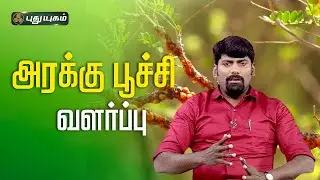 அரக்கு பூச்சி வளர்ப்பு | lac insect farming Dr.S.Muthukumar &rdquo;வெற்றி பாதையில்&rdquo;  | #PuthuyugamTV