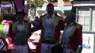 Carnaval de día 2015 de Santa Cruz de Tenerife