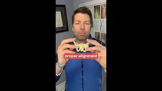 3 Reasons to See a Chiropractor During Your Pregnancy PART 1