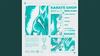 Karate Chop (Mvdmon Remix)