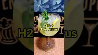 Gin + H2O Citrus #shortvideo #drink #bar #alcoholicdrink #cocktailbar #h2o #gin
