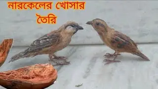 চড়ুই পাখি তৈরি। Sparrow Making With Coconut Husks. Coconut Husk Craft Ideas.