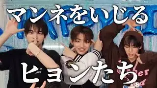 ちょっと様子がおかしい誕生日ウィバラ【TWS 日本語字幕】