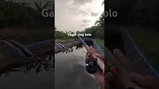 #mancing#mancingdisungai#nutulnilem#mancingbeles#mancingmaniasragen #mancingwader