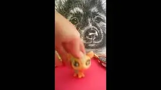 Блогадарственое видео каналам : LPSАлиса Film and life!  Я вас обожаю!