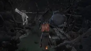 Knight Slayer Tsorig vs Knight Slayer Tsorig | Dark Souls 3