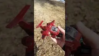 painting stormtalon