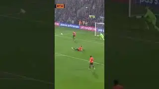 The Cute Cat Just Wanted to Play Too 🐱⚽ | Милий котик теж хотів грати у футбол 🐱⚽