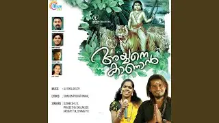 Paari Parannu Vaa