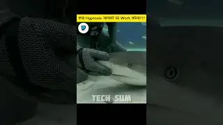 Does animals also get Hypnotized??? 🤔 | #shorts |