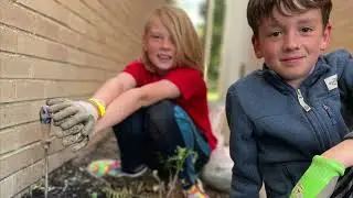 Ace of Clubs 4-H pocket park as part of Pollinator Pathway