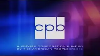 Финансирование проекта PBS Design Squad 2008