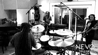 Animal Nights - They Live - LIVE [ NEVO SESSIONS ]