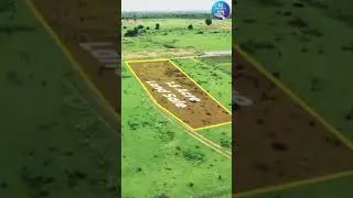 shadnagar red soil land sale #openplots #realestatetelugu #shadnagarplots #dtcpplots #investinland