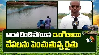 Anguilla bengalensis Fish Farming | అంతరించిపోయిన ఇంగిలాయి చేపలను పెంచుతున్న రైతు | 10TV