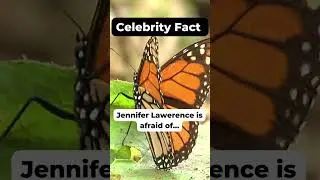 Are you scared of them too? 😱 #jenniferlawrence #celebritynews #shorts