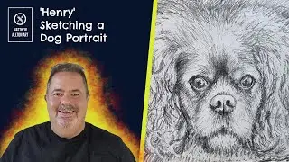 Realistic Dog Portrait Sketch Time Lapse | Charcoal Pencil Cavalier King Charles Study (Henry)
