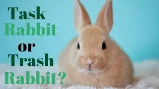 Was I Wrong About Task Rabbit?!?