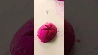 Fruit Cutting Art That Feels Like Magic!