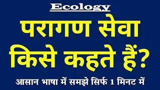परागण सेवा किसे कहते हैं | Pollination Service Kya Hai | Paragan Seva ki Paribhasha | Ecology