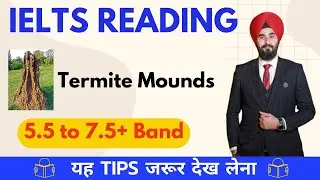 IELTS #reading Real #exam Passage Termite Mounds Solved With #tips | By Ramandeep Singh @RamanPTE
