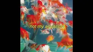 [FREE] midwest emo/ math rock Emo Trap Type Beat - &ldquo;not my aquarium&rdquo; (Prod. sadgengar)