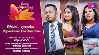 🔴 Every Morning | Ceylon Green Life Plantation | 2025.08.28