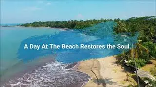 Best Beach Status | Beach Quotes | Beach Captions