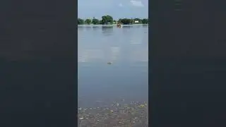 Flood scenes in Alipur,seetpur and Panjnad #flood #floods #shorts