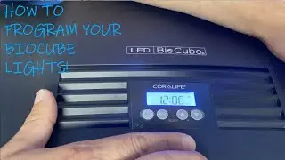 КАК ПРОГРАММИРОВАНИЕ СВЕТИЛЬНИКОВ BIOCUBE | BIOCUBE 101