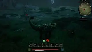 Amp vs Rex