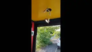 Catering trailer self conversion TIPS and TRICKS (installation extractor fun and electric system)