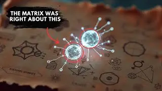 Quantum Field Theory and the Illusion of Connection: The Shocking Reality